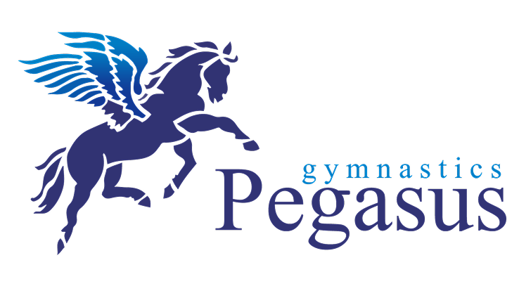 Pegasus Team Pegasus Team
