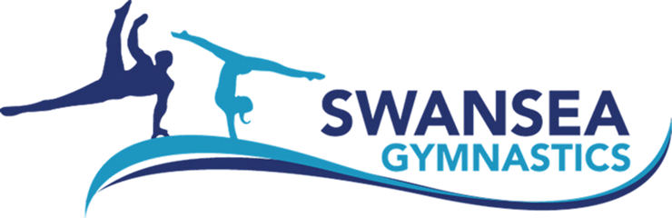 Swansea Team Swansea Team